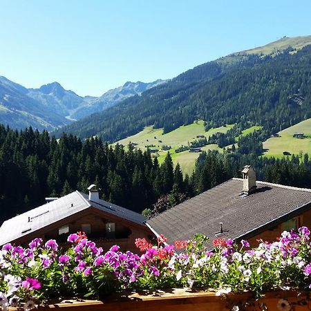 Hanslerfeld Alpbach Bagian luar foto