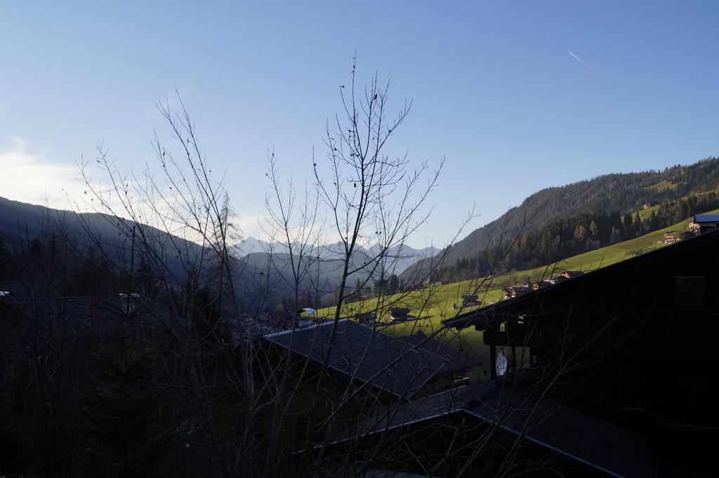 Hanslerfeld Alpbach Ruang foto