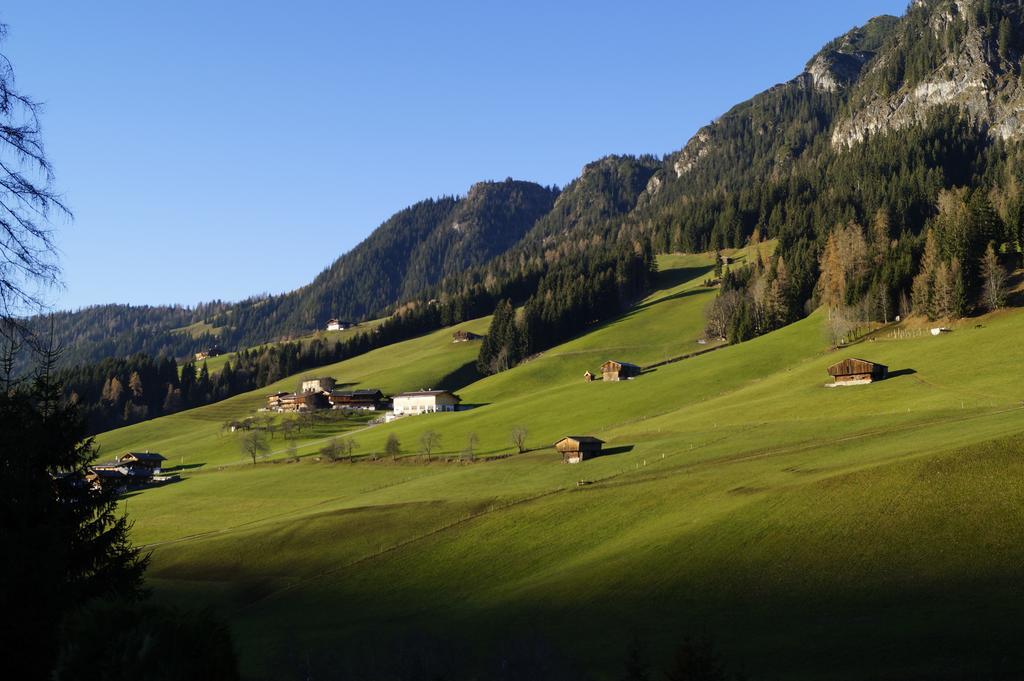 Hanslerfeld Alpbach Ruang foto