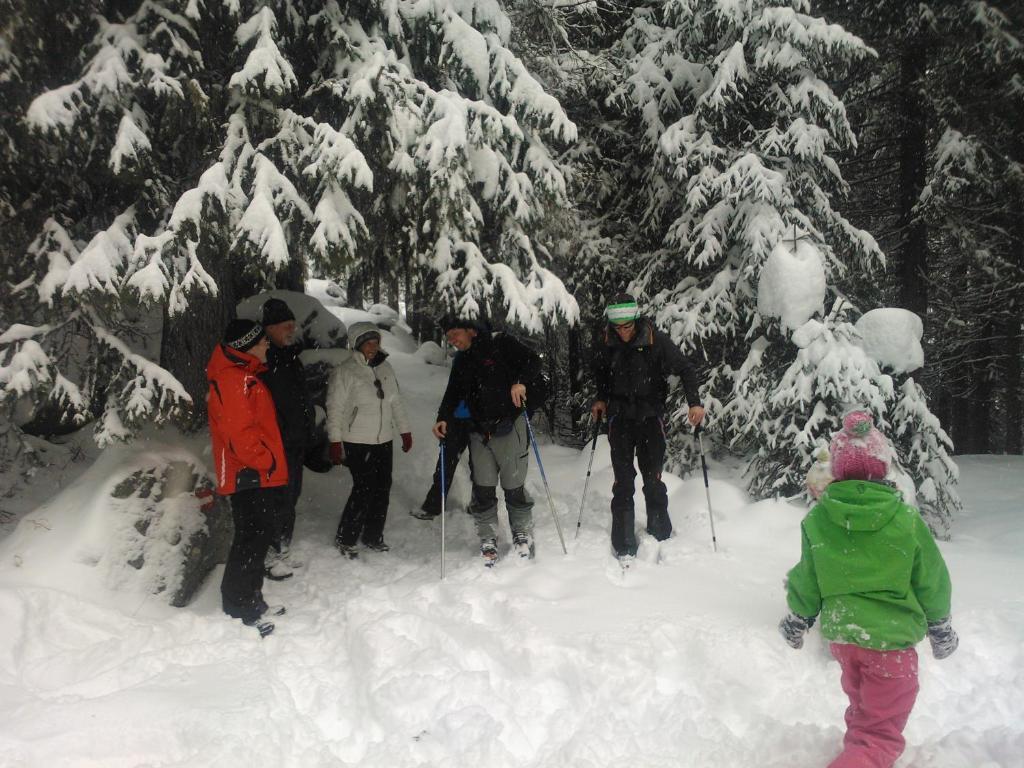 Hanslerfeld Alpbach Bagian luar foto