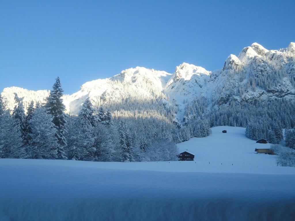 Hanslerfeld Alpbach Bagian luar foto