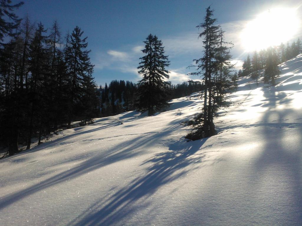 Hanslerfeld Alpbach Bagian luar foto
