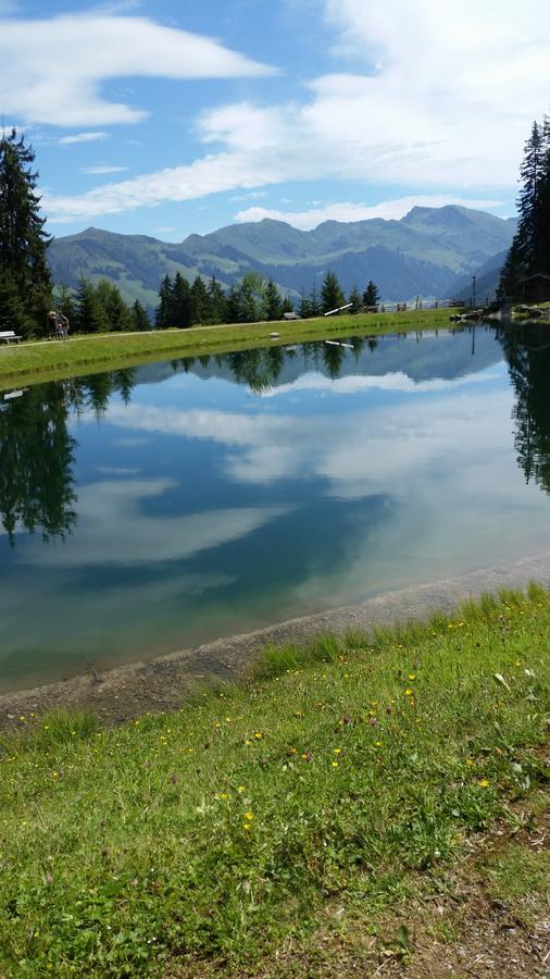 Hanslerfeld Alpbach Bagian luar foto