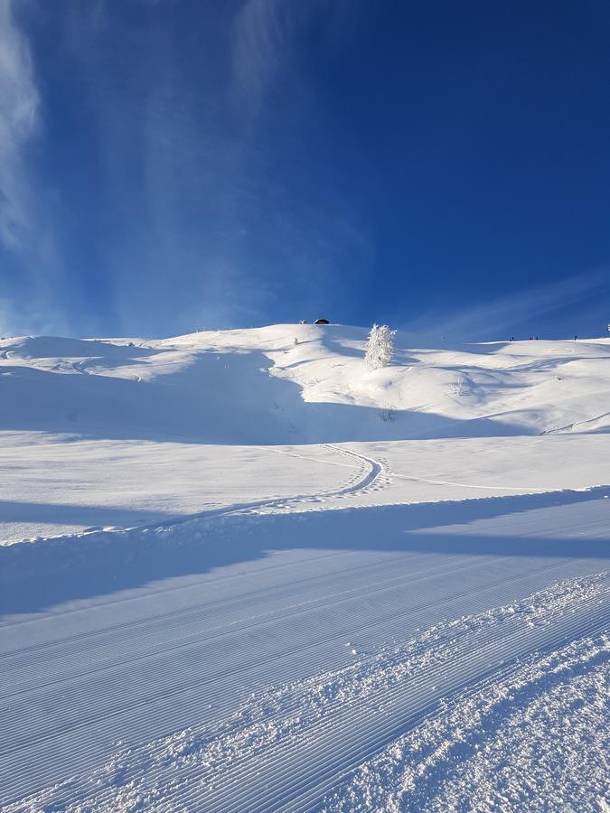 Hanslerfeld Alpbach Bagian luar foto