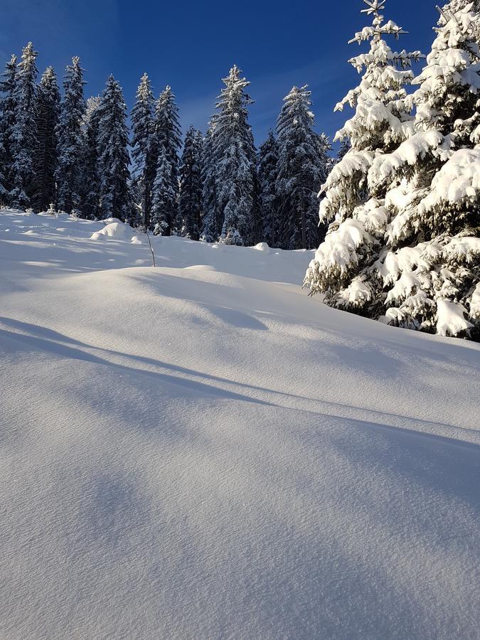 Hanslerfeld Alpbach Bagian luar foto