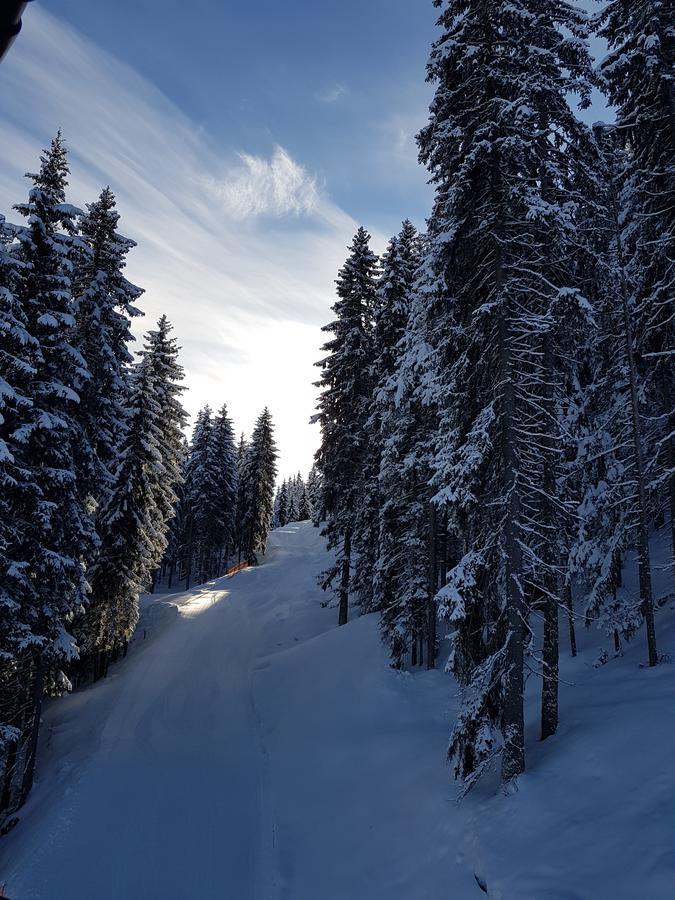 Hanslerfeld Alpbach Bagian luar foto