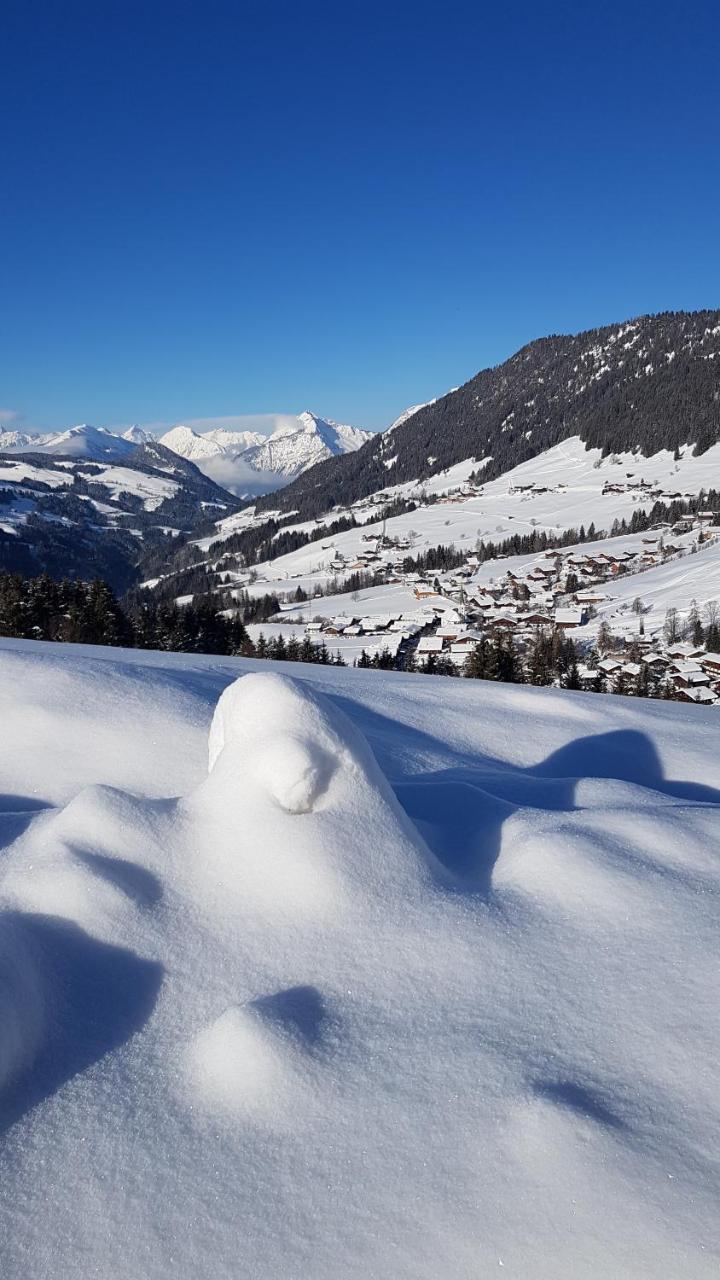 Hanslerfeld Alpbach Bagian luar foto