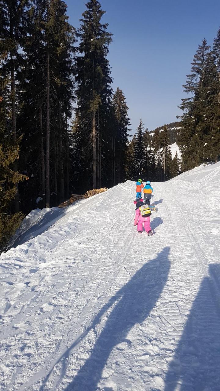 Hanslerfeld Alpbach Bagian luar foto