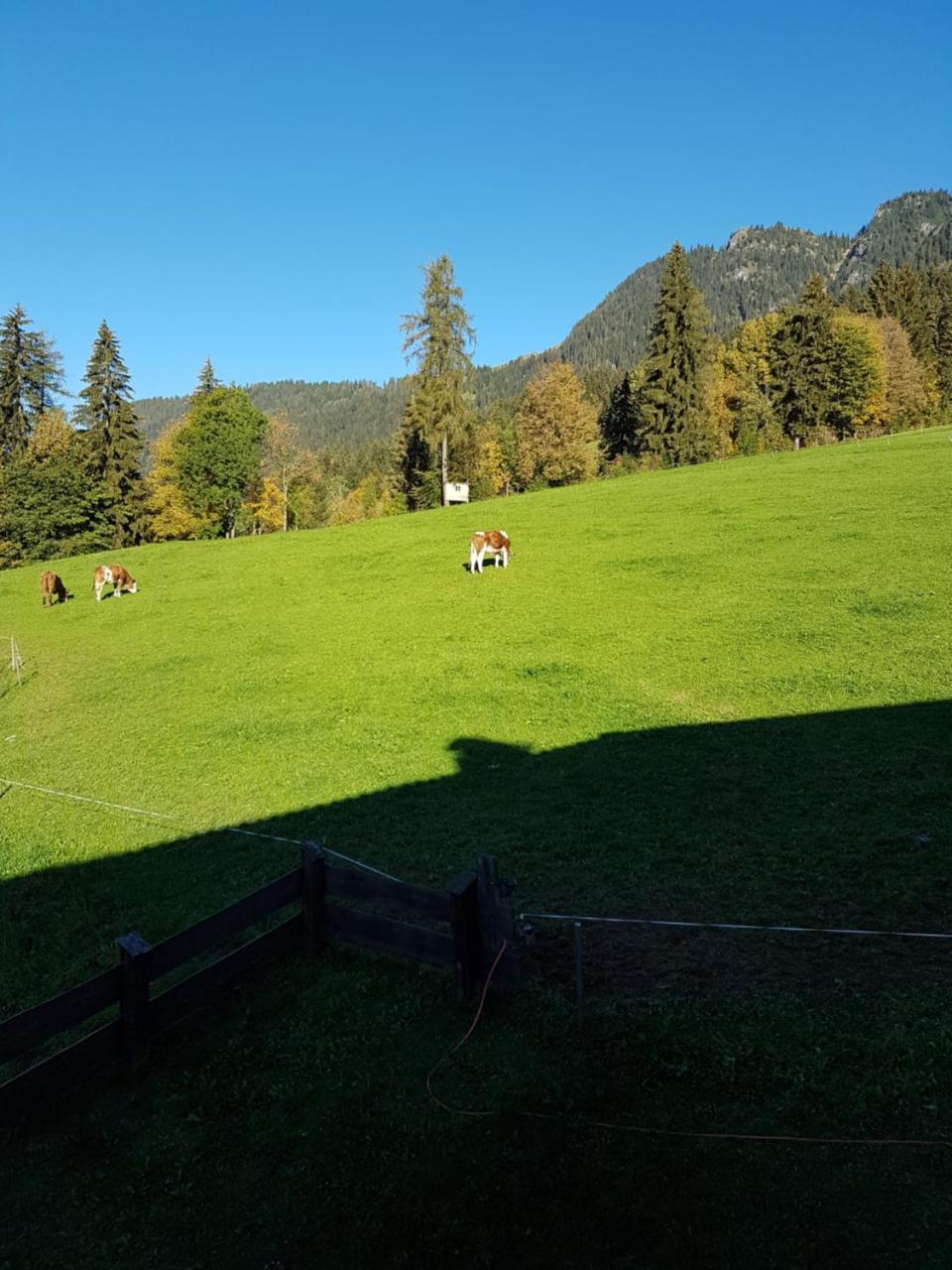 Hanslerfeld Alpbach Bagian luar foto